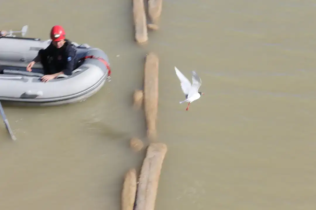 Boğaçayı'nda Misinaya Takılan Martıyı Ekipler Kurtardı 4